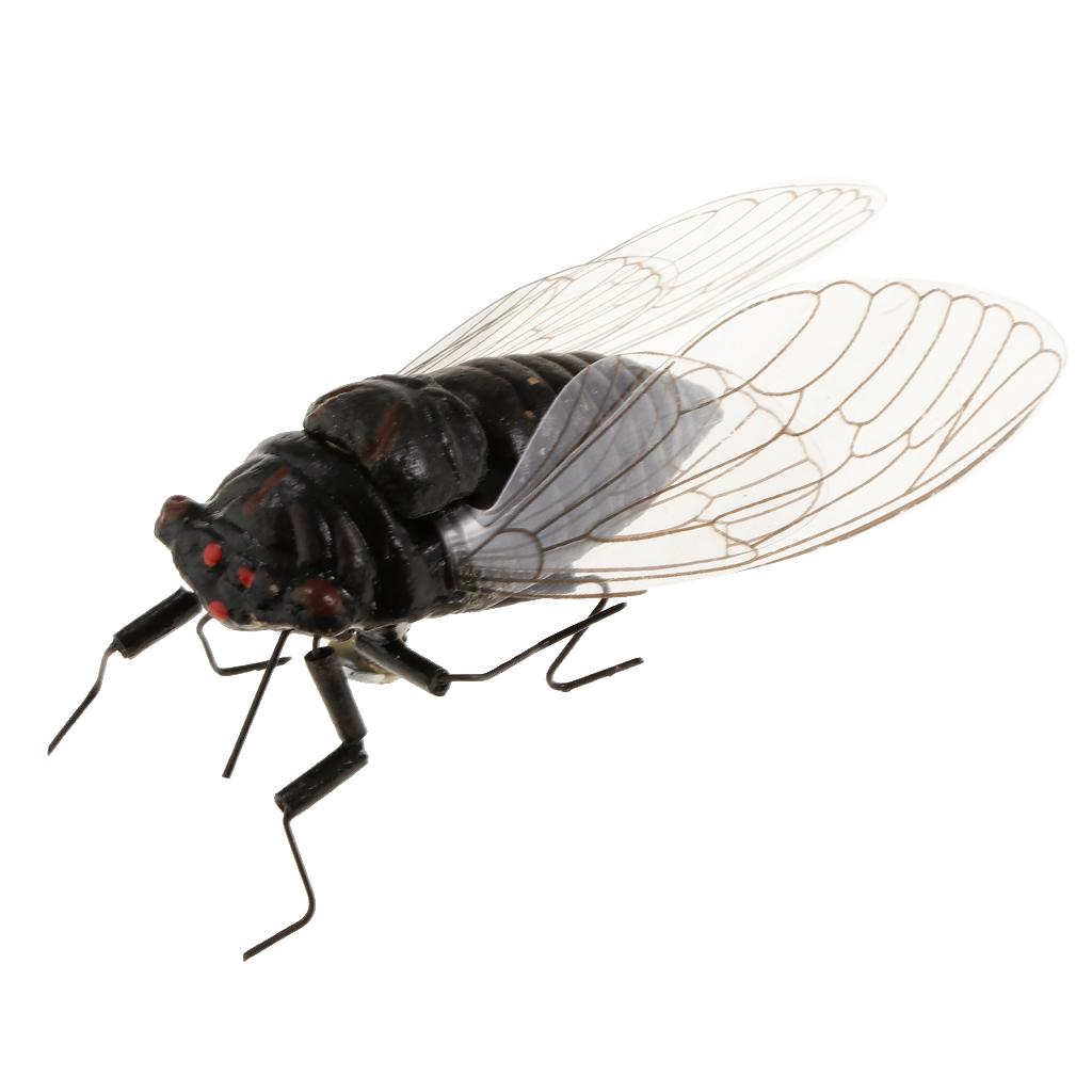 2X Clay Insect Model Fridge Ma - Art Craft Clay 评论和价格