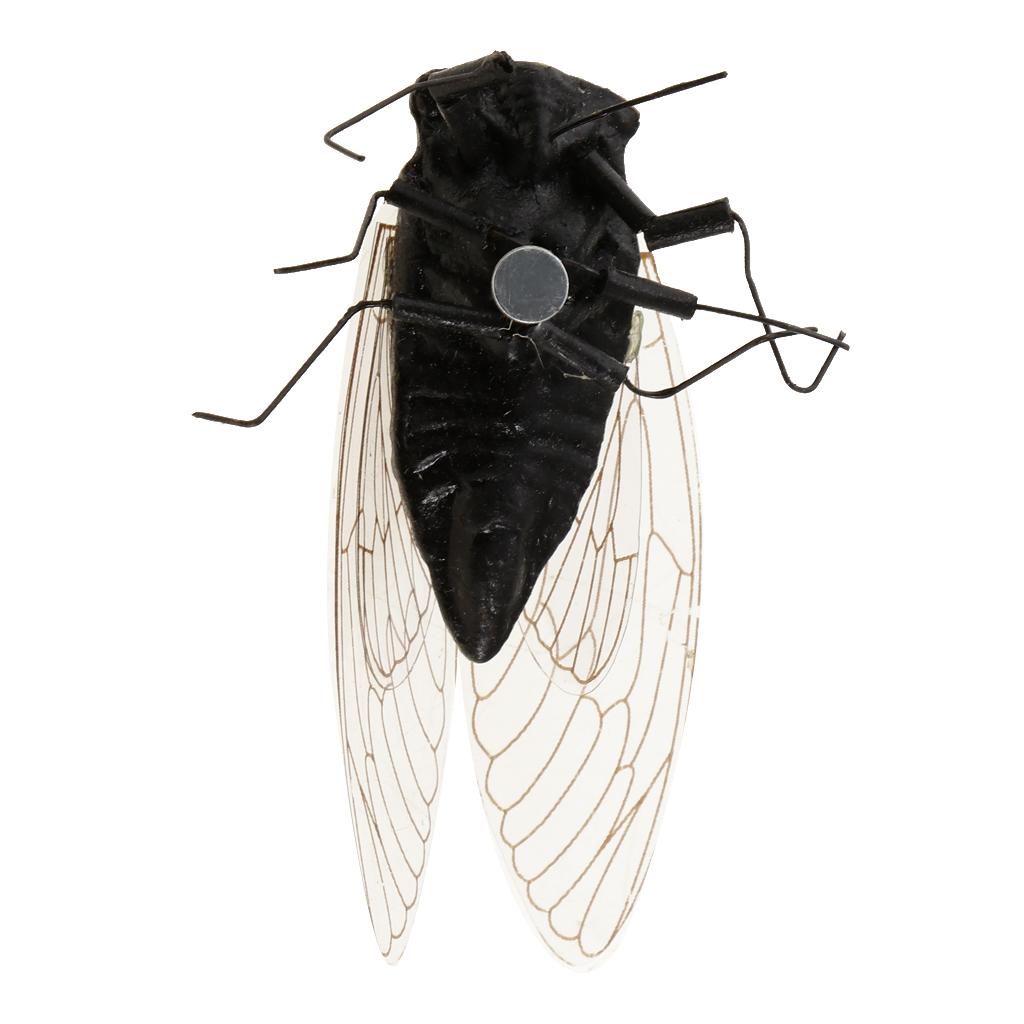 2X Clay Insect Model Fridge Ma - Art Craft Clay 评论和价格